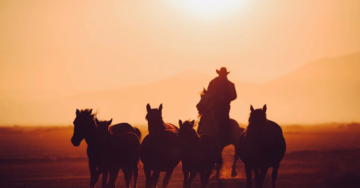 Дух Дикого Запада в современных слот-играх Wild West Gold